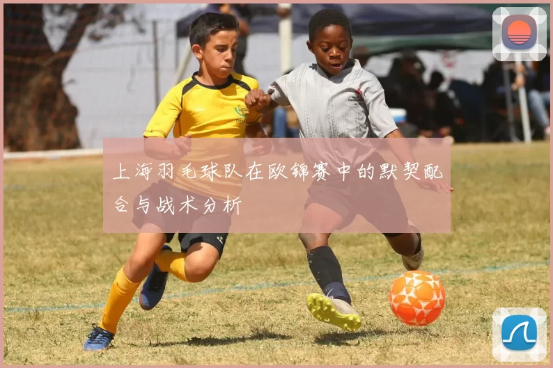 上海羽毛球队在欧锦赛中的默契配合与战术分析