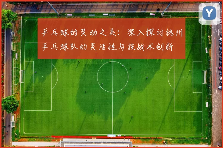 乒乓球的灵动之美：深入探讨杭州乒乓球队的灵活性与技战术创新